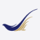 South African Airways
