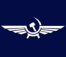 airline-Aeroflot Russian Airlines