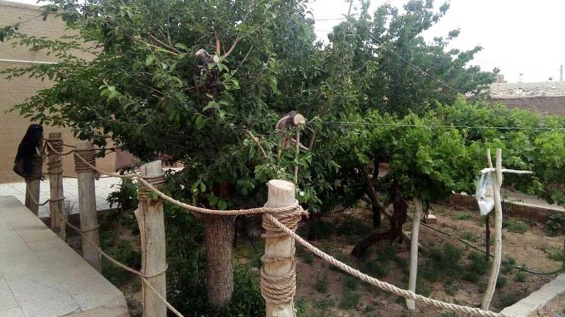 اقامتگاه بومگردی ریواس مهریز فضای داخلی اقامتگاه 1 اقامتگاه بومگردی ریواس مهریز فضای داخلی اقامتگاه 1