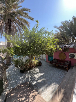 مهمانسرا دنج بندرهرمز فضای محوطه