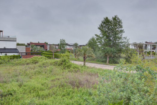 مجتمع گردشگری دشت نور فضای محوطه