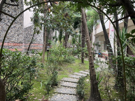 متل گل سرخ نوشهر نمای بیرونی