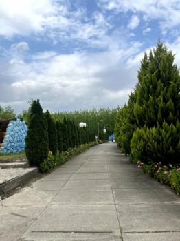 مجتمع گردشگری مهرگان صومعه سرا فضای بیرونی