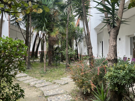 متل گل سرخ نوشهر نمای بیرونی