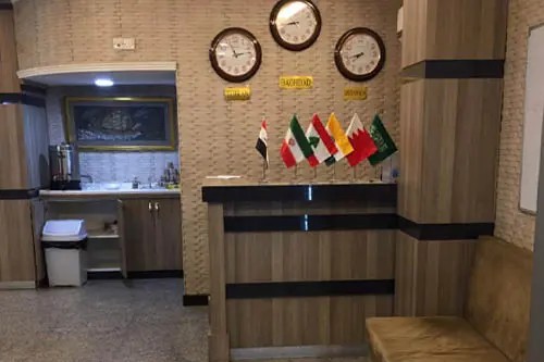 زین البارودی