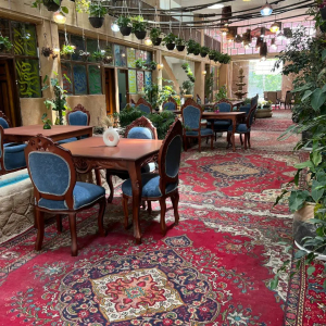 نمای فونیکس