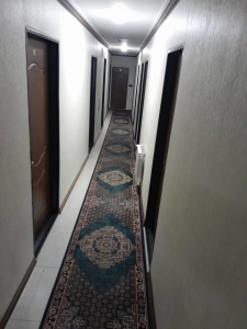نمای یاران