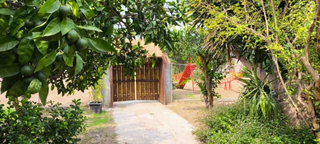 اقامتگاه بوم‌گردی تی تی تگن ساری فضای محوطه