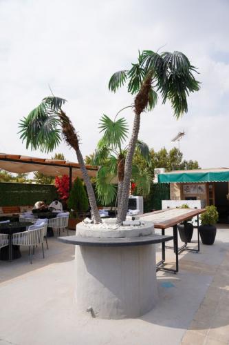 هتل آپارتمان پارتیکان اصفهان فضای محوطه