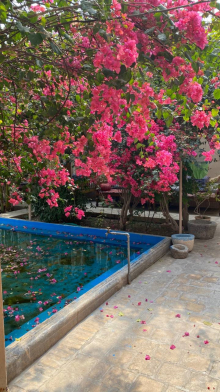 هتل کهن کاشانه یزد فضای محوطه