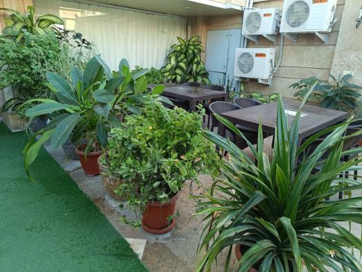 هتل رز مکران چابهار محوطه