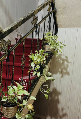 هتل میداف عسلویه لابی 