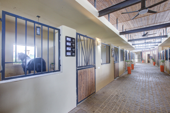 مجتمع گردشگری دشت نور فضای محوطه