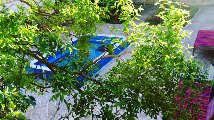 اقامتگاه بوم‌گردی خانه صفا آران و بیدگل فضای داخلی اقامتگاه 5