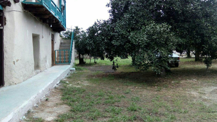 اقامتگاه بوم‌گردی کندوج تنکابن فضای بیرونی اقامتگاه 1