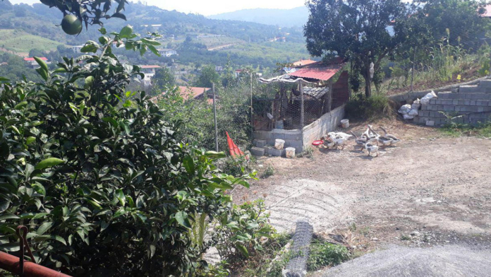 خانه مسافر هاشم زاده (هزارون) قائم شهر فضای بیرونی خانه مسافر 2 خانه مسافر هاشم زاده (هزارون) قائم شهر فضای بیرونی خانه مسافر 2