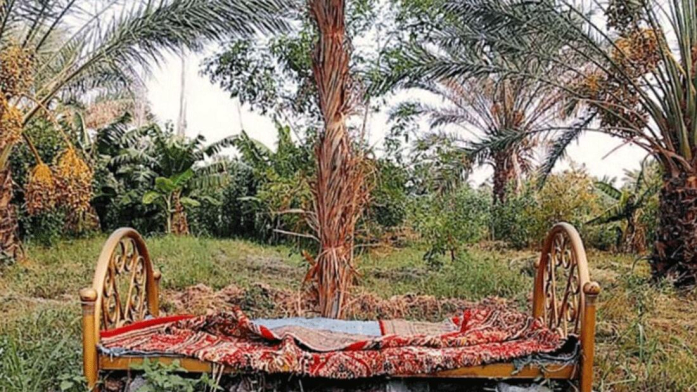 اقامتگاه بومگردی قلعه نو جیرفت فضای داخلی اقامتگاه 3 اقامتگاه بومگردی قلعه نو جیرفت فضای داخلی اقامتگاه 3