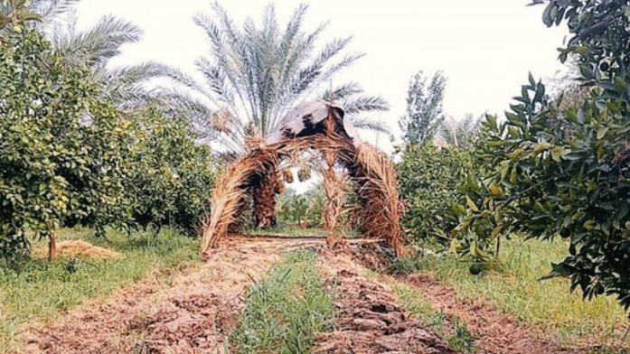 اقامتگاه بومگردی قلعه نو جیرفت فضای داخلی اقامتگاه 5 اقامتگاه بومگردی قلعه نو جیرفت فضای داخلی اقامتگاه 5