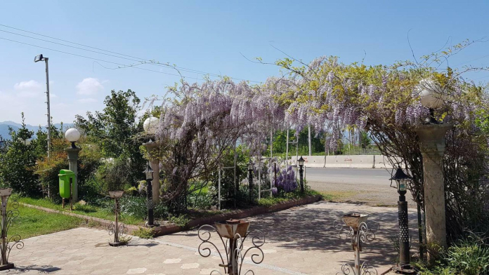 هتل امیرکبیر ماسال محوطه هتل هتل امیرکبیر ماسال محوطه هتل