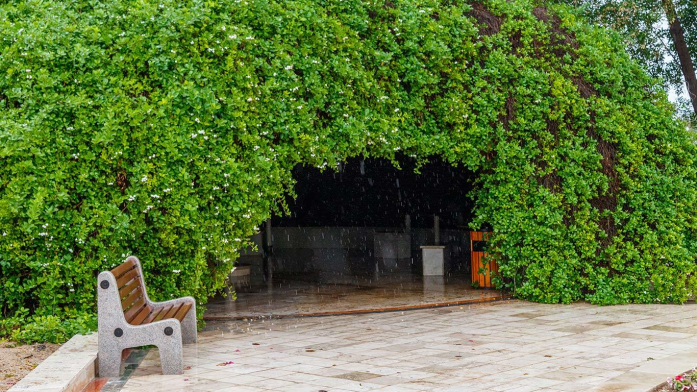 هتل فلامینگو کیش نمای بیرونی