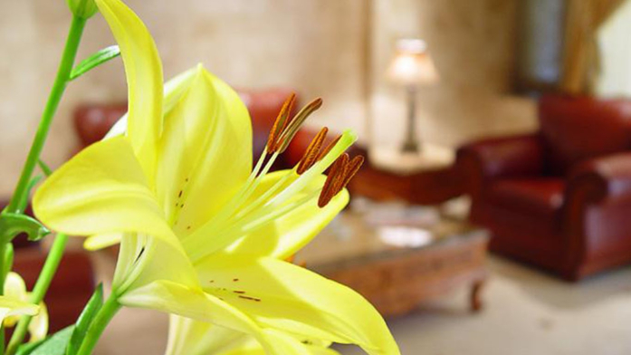 سوییت هتل آپارتمان آبتین