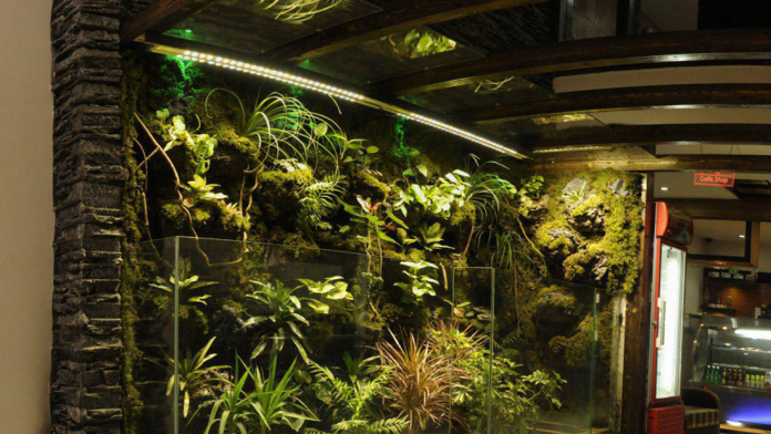 هتل آپارتمان قصر آیدین مشهد فضای داخلی هتل هتل آپارتمان قصر آیدین مشهد فضای داخلی هتل