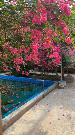 هتل کهن کاشانه یزد فضای محوطه