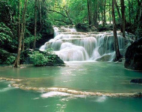 f204390fede14cdaa0b56b6e603e7c98.jpg f204390fede14cdaa0b56b6e603e7c98.jpg