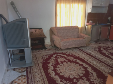 سوئیت مهدی
