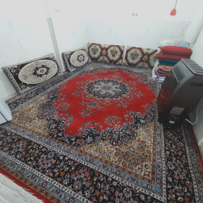 سوئیت نقلی ولیعصر (2)