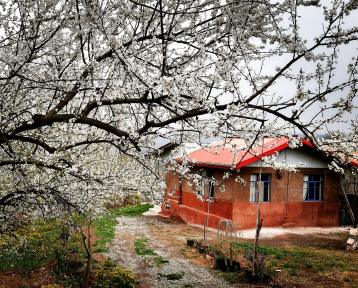 سوئیت ویلایی دربست در باغ