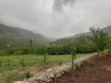 ویلا احسان
