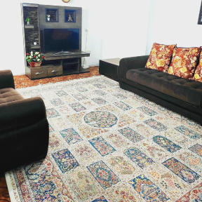 سوئیت مسعودی فر