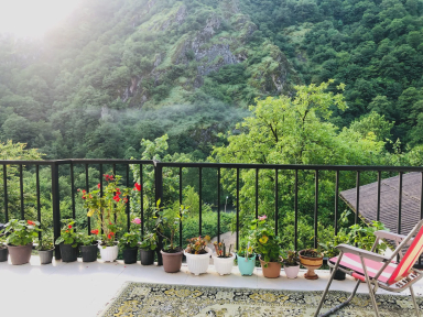 ویلایی راز