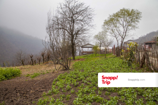 طبیعت بهاری اطراف کلبه