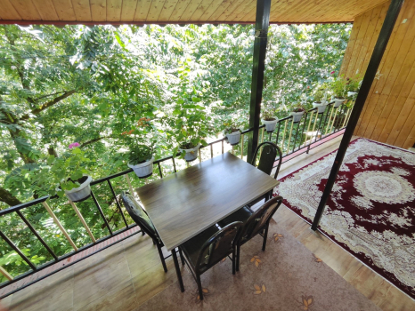 ویو تراس(تابستان)