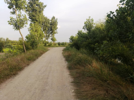 در نزدیکی اقامتگاه