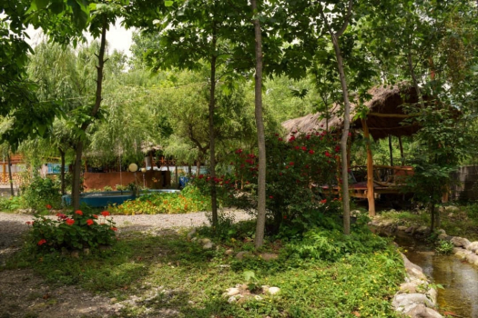 محوطه باغ
