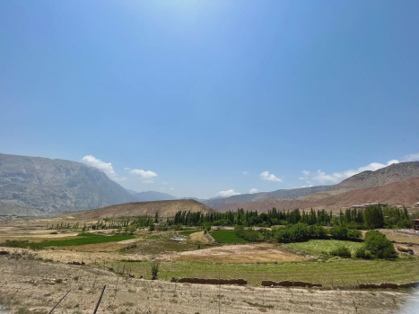 تصاویر هتل
