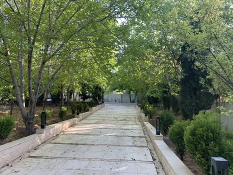 IMG_1337.jpeg