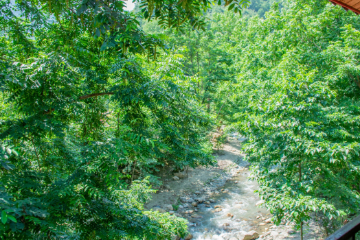 ویو تابستان