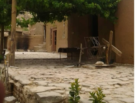 حیاط