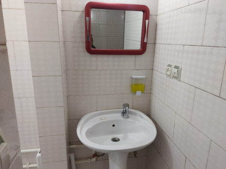 سرویس بهداشتی