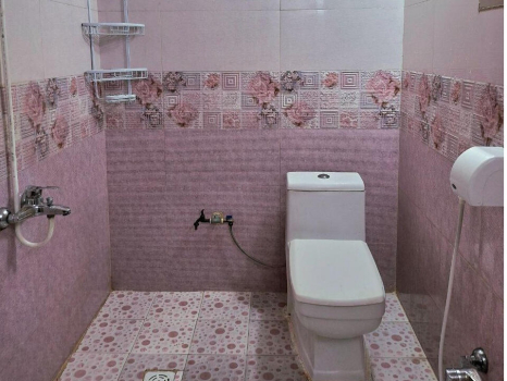 سرویس بهداشتی