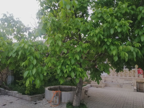 تصاویر هتل