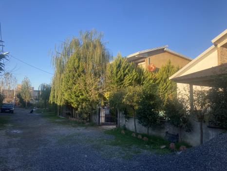 IMG_5446.jpeg