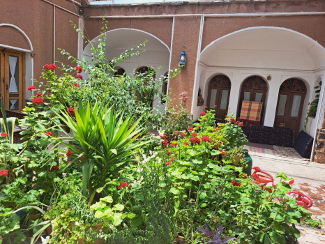 حیاط