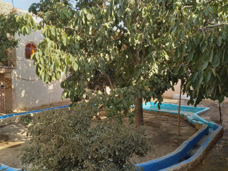 تصاویر هتل