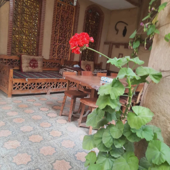 تصاویر هتل