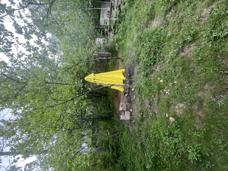 IMG_7131.jpeg